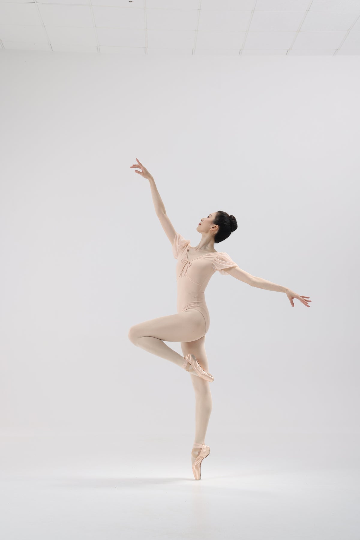 Shell Pink Mesh Puff Sleeve Ballet Leotard product image 1