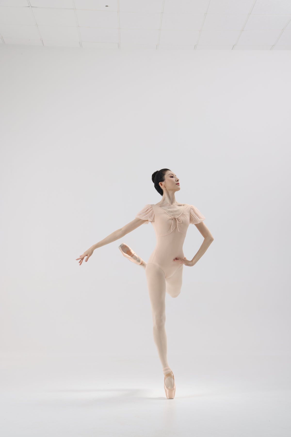 Shell Pink Mesh Puff Sleeve Ballet Leotard product image 6